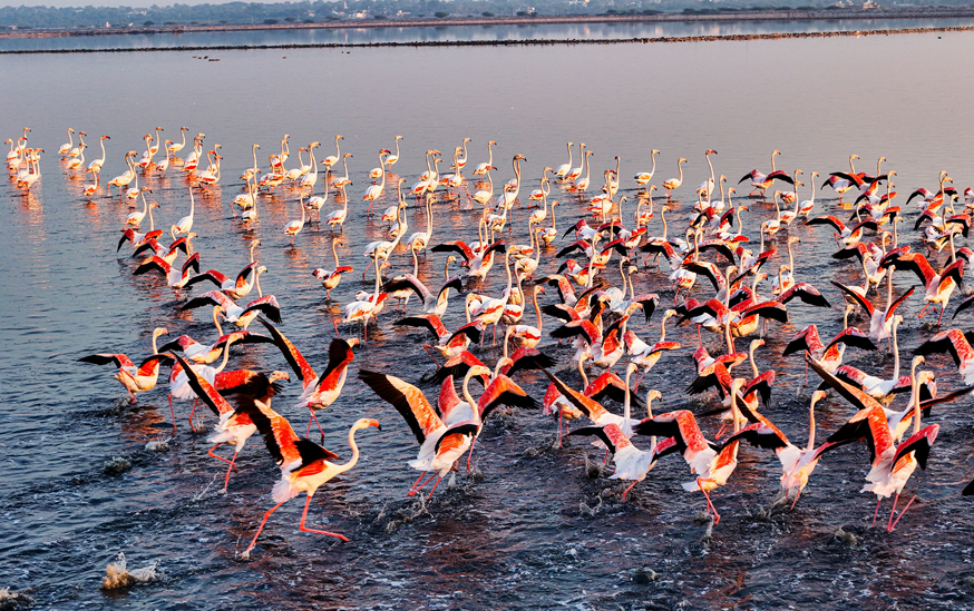 2 Days: Nakuru National Park Adventures gallery image 1